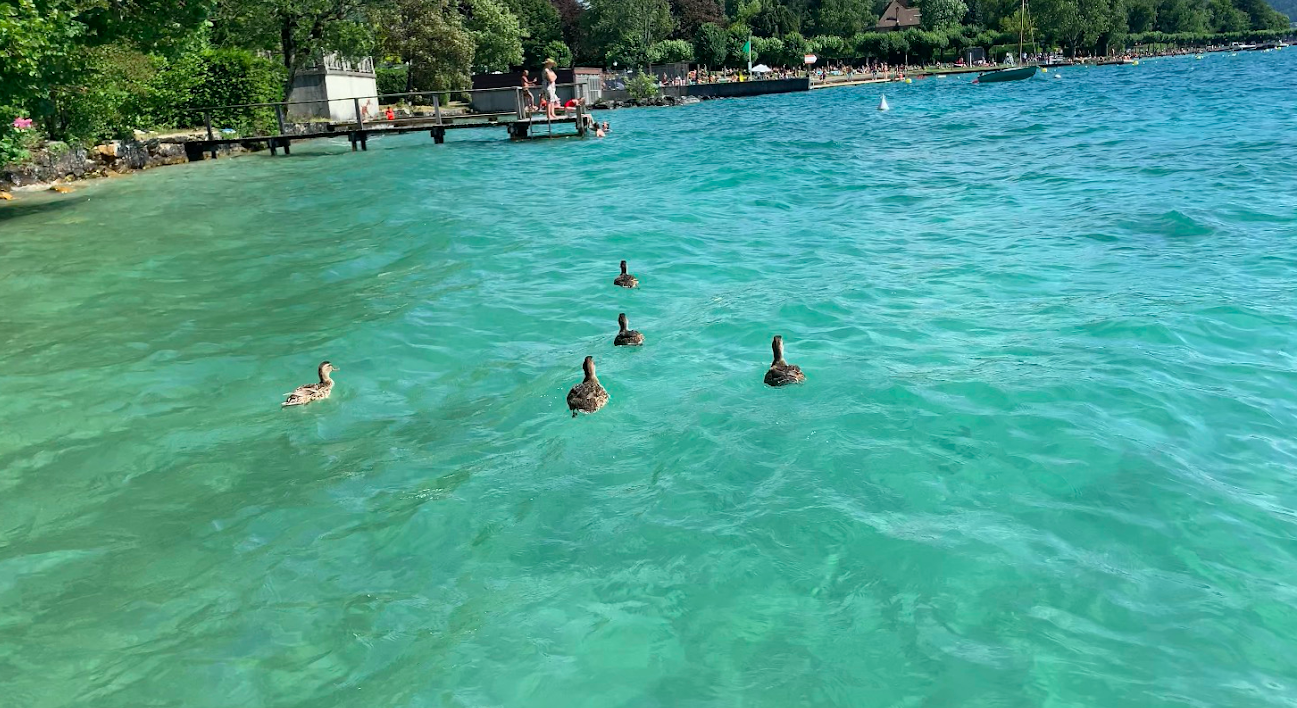 the 'neon blue glow' of Lac d'Annecy | Mia Musa-Green / Epigram                                                                                             