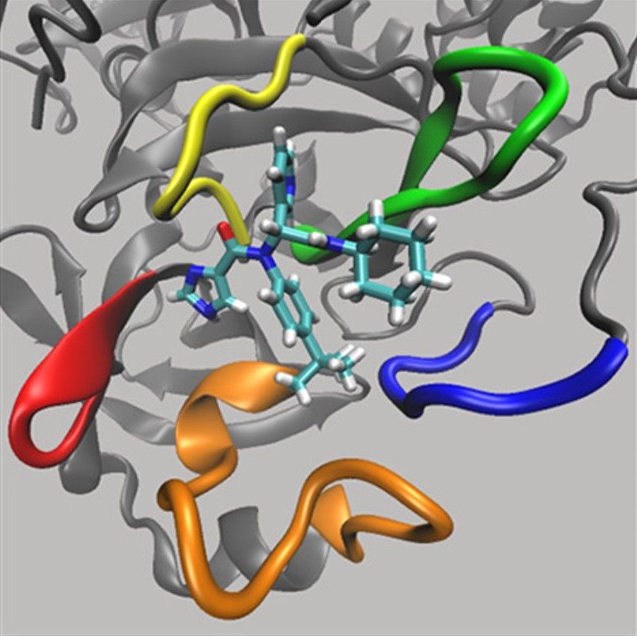 A drug molecule bound to a SARS-CoV-2 Mpro | Journal of Chemical Information and Modeling / Helen M. Deeks et al.