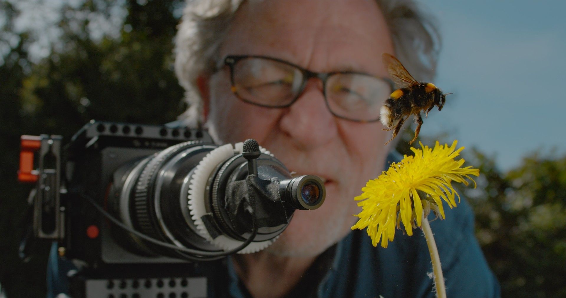 Bristol Filmmaker, Martin Dohrn, Wins A Prestigious Wildlife Film Award ...