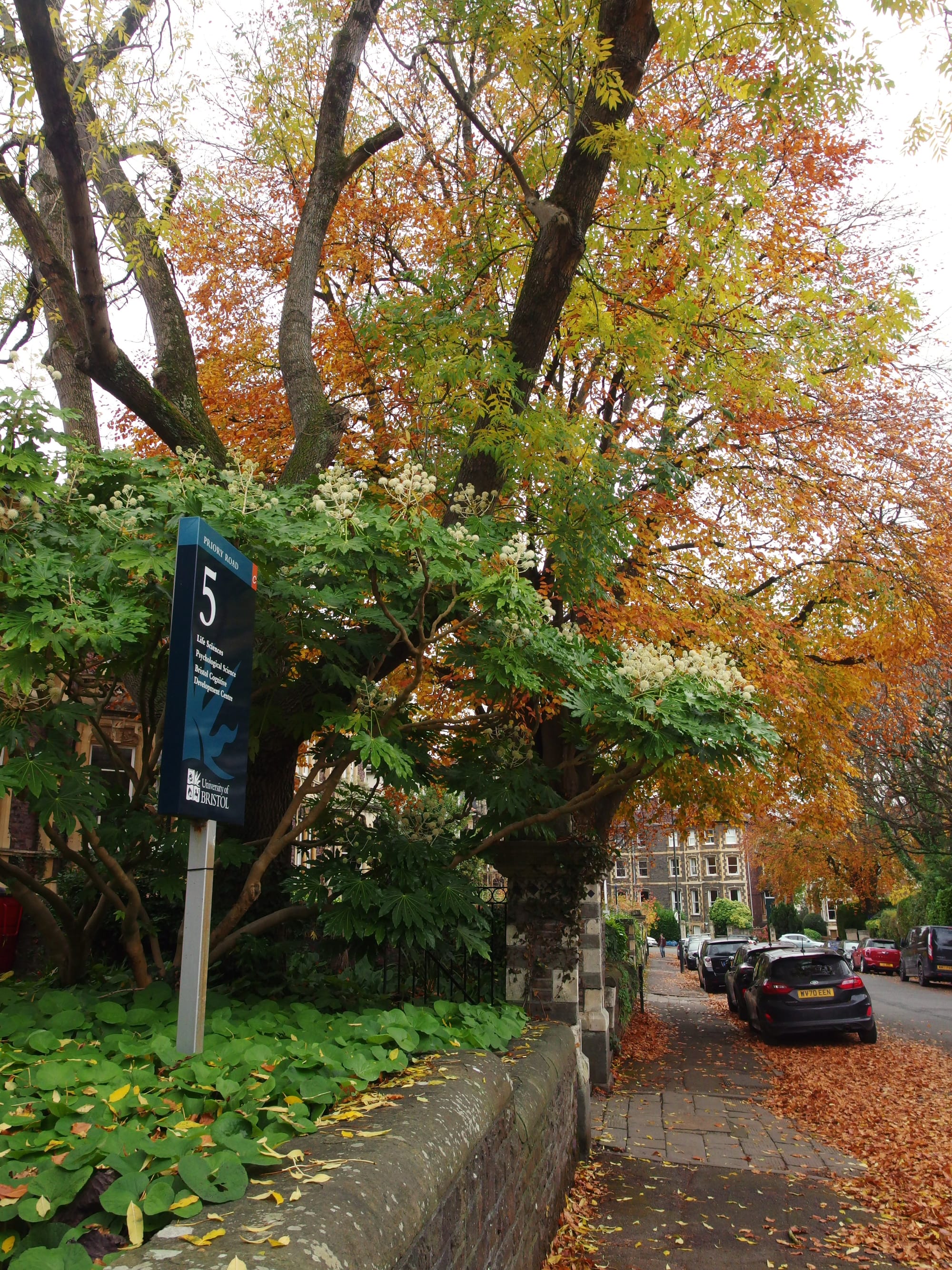 9 ways the budget will affect university students