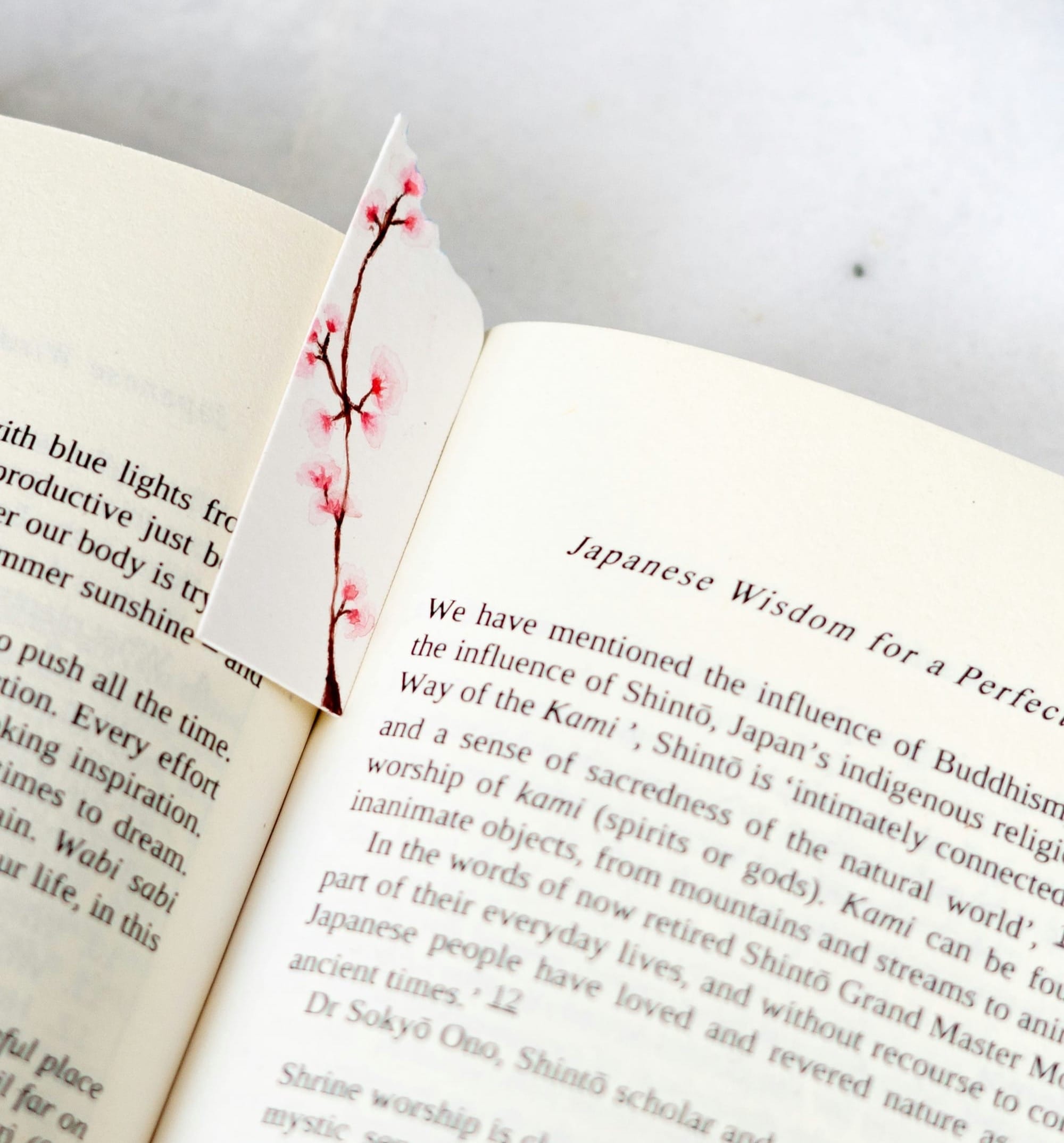 Literature lover's gift guide