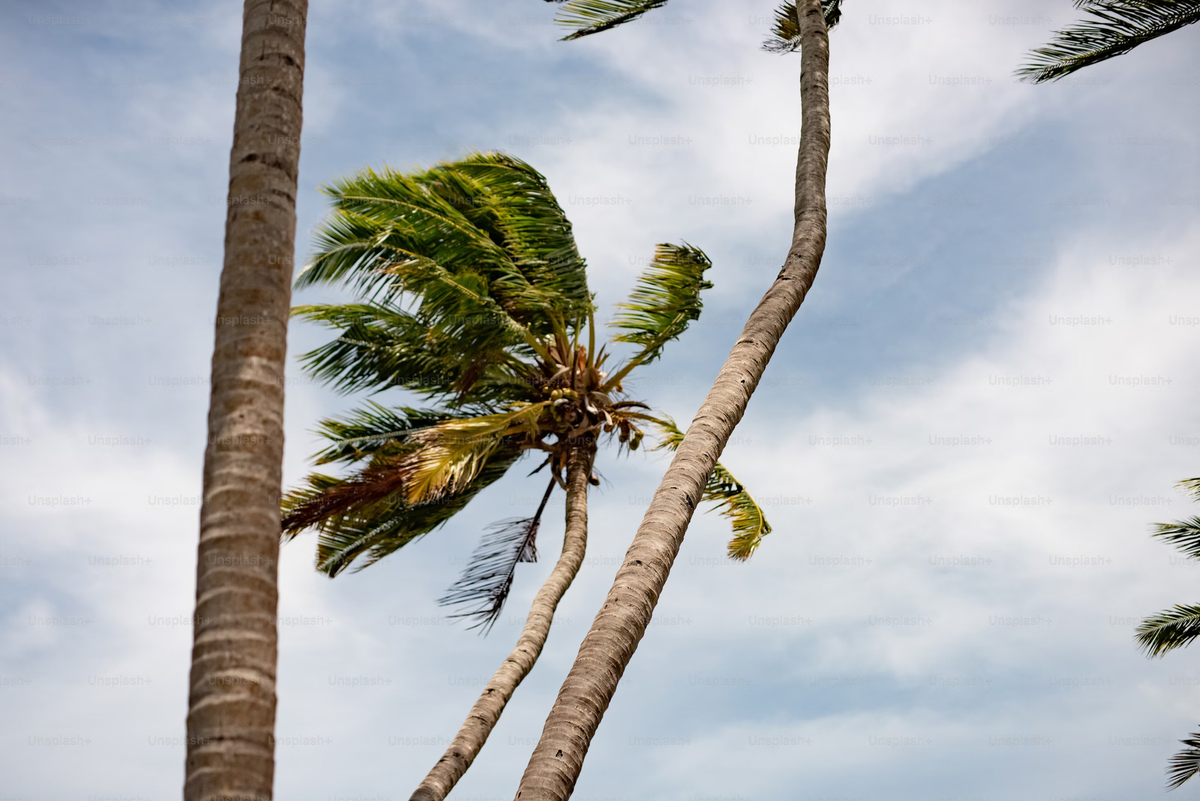 Opinion | How climate science and conspiracy has become embedded within the culture war: The polarising response to Hurricane Milton