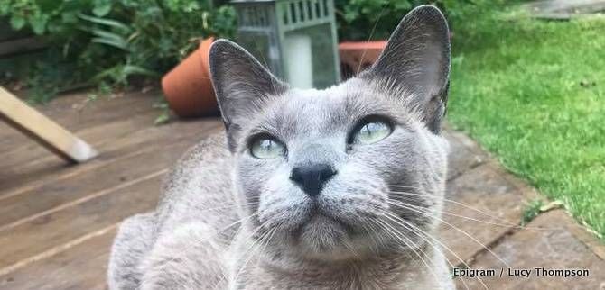 BREAKING: the University of Bristol releases its animal experimentation figures