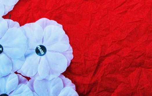 The red poppy forgets the majority of those who died; students should look elsewhere