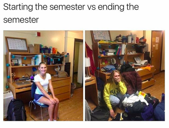 First year: expectation vs. reality
