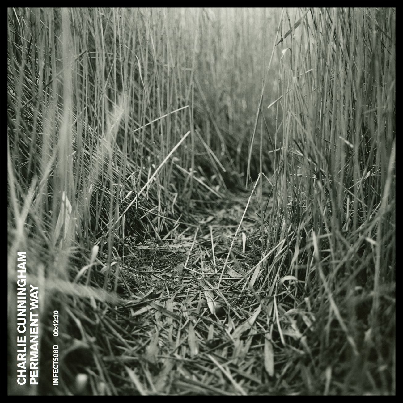 Album Review/ Charlie Cunningham - Permanent Way