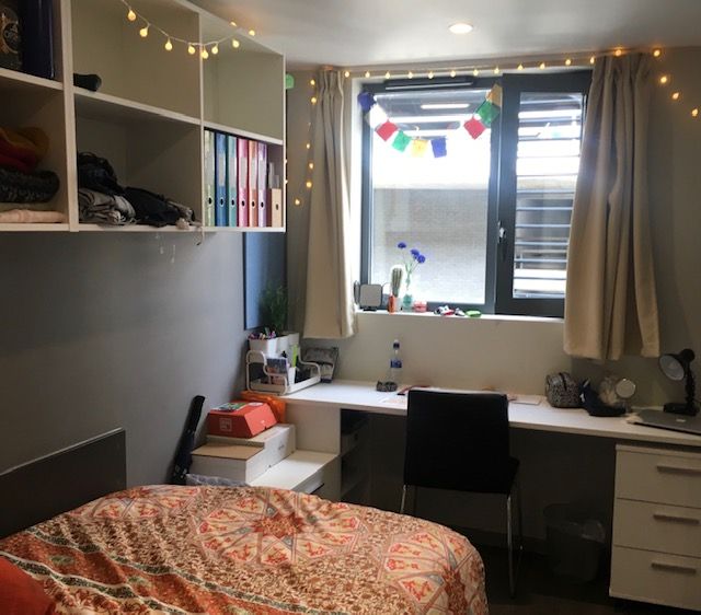 Common first year fears