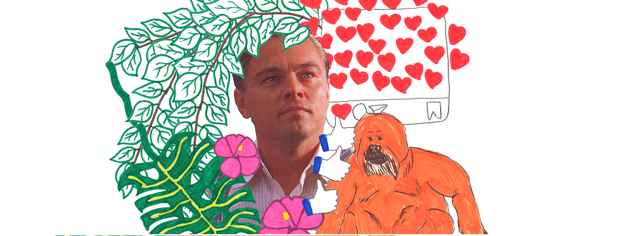 The jury is still out on celebrity environmentalists