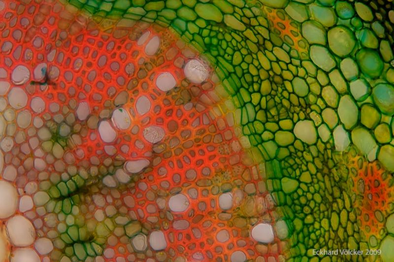 A decade of science and tech comes to a close