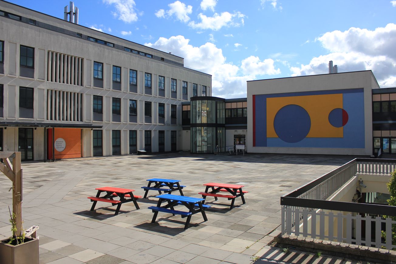 Bristol researcher given award to help pioneer protocellular materials