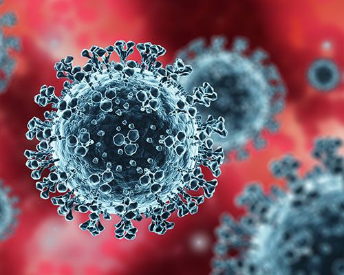 University of Bristol joins major £4million study to help develop coronavirus vaccine