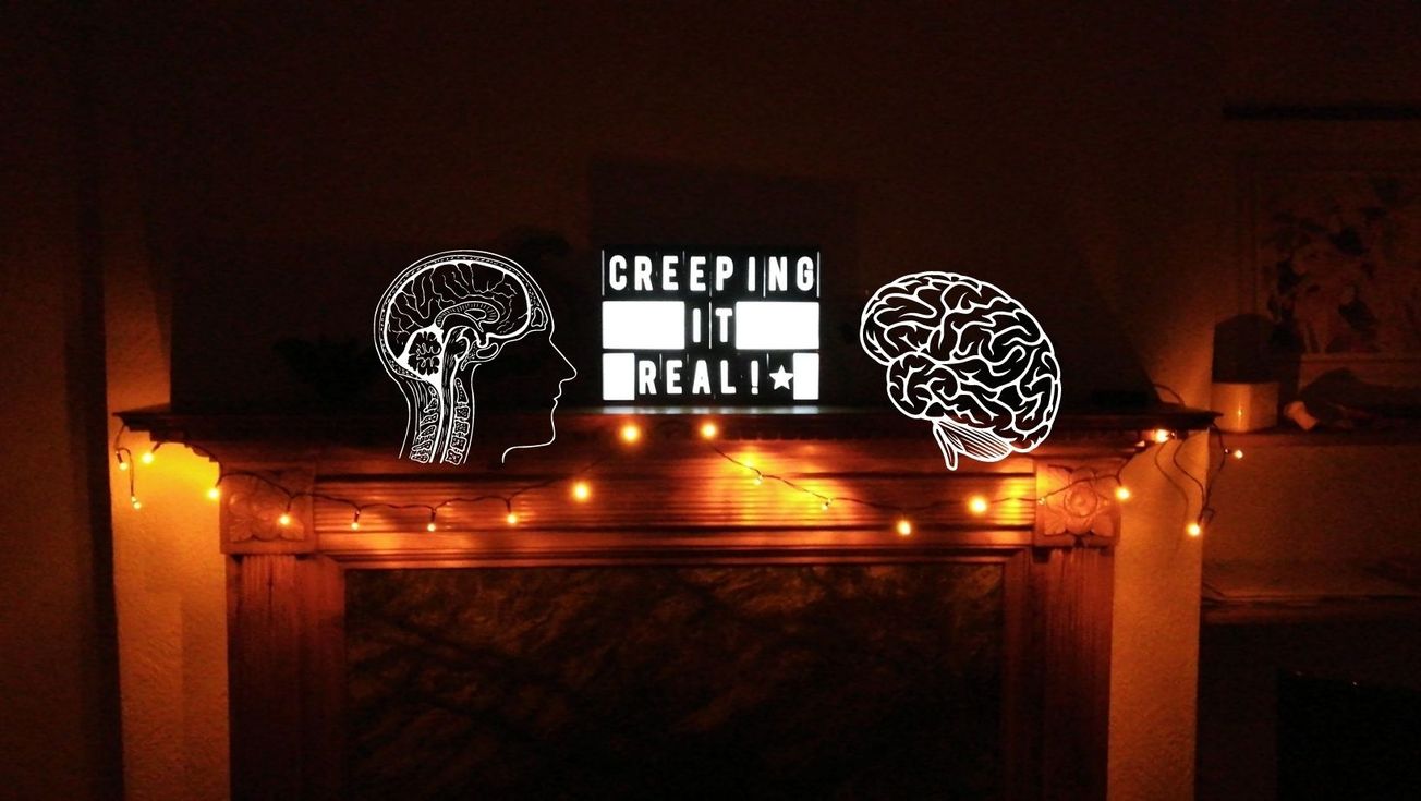 Fight or fright: the science of fear