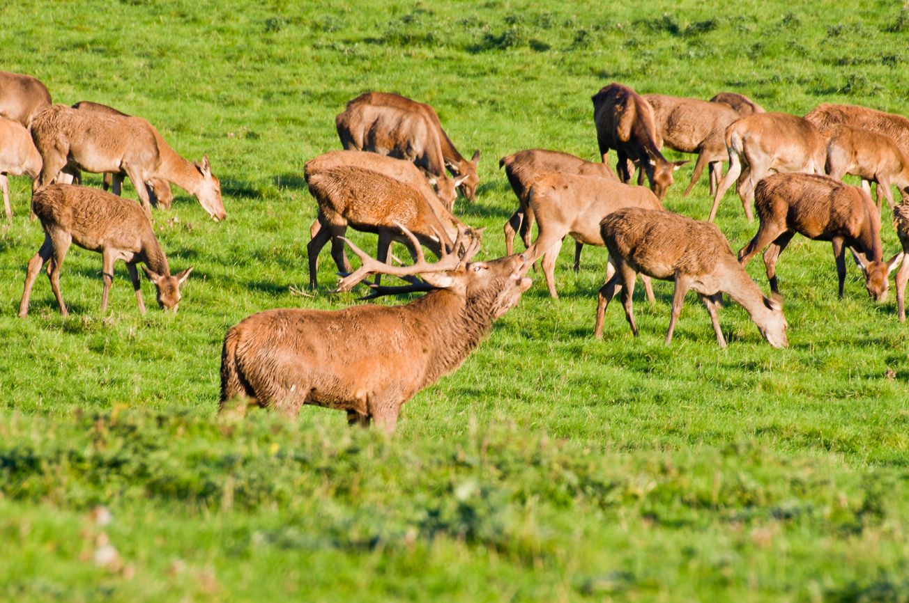 Nature and your good nature