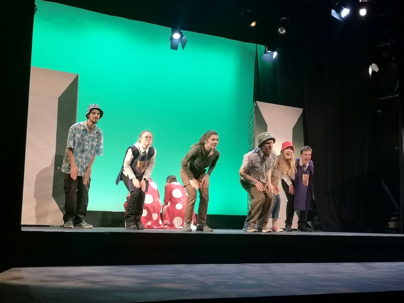 Review : The Whimsical Wizard of Oz by Pantosoc