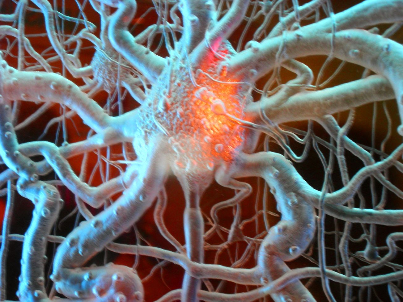 AI helps reveal key proteins in fight against disease