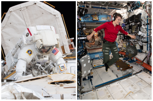 Bristol alumni and NASA astronaut returns to Earth and to Bristol