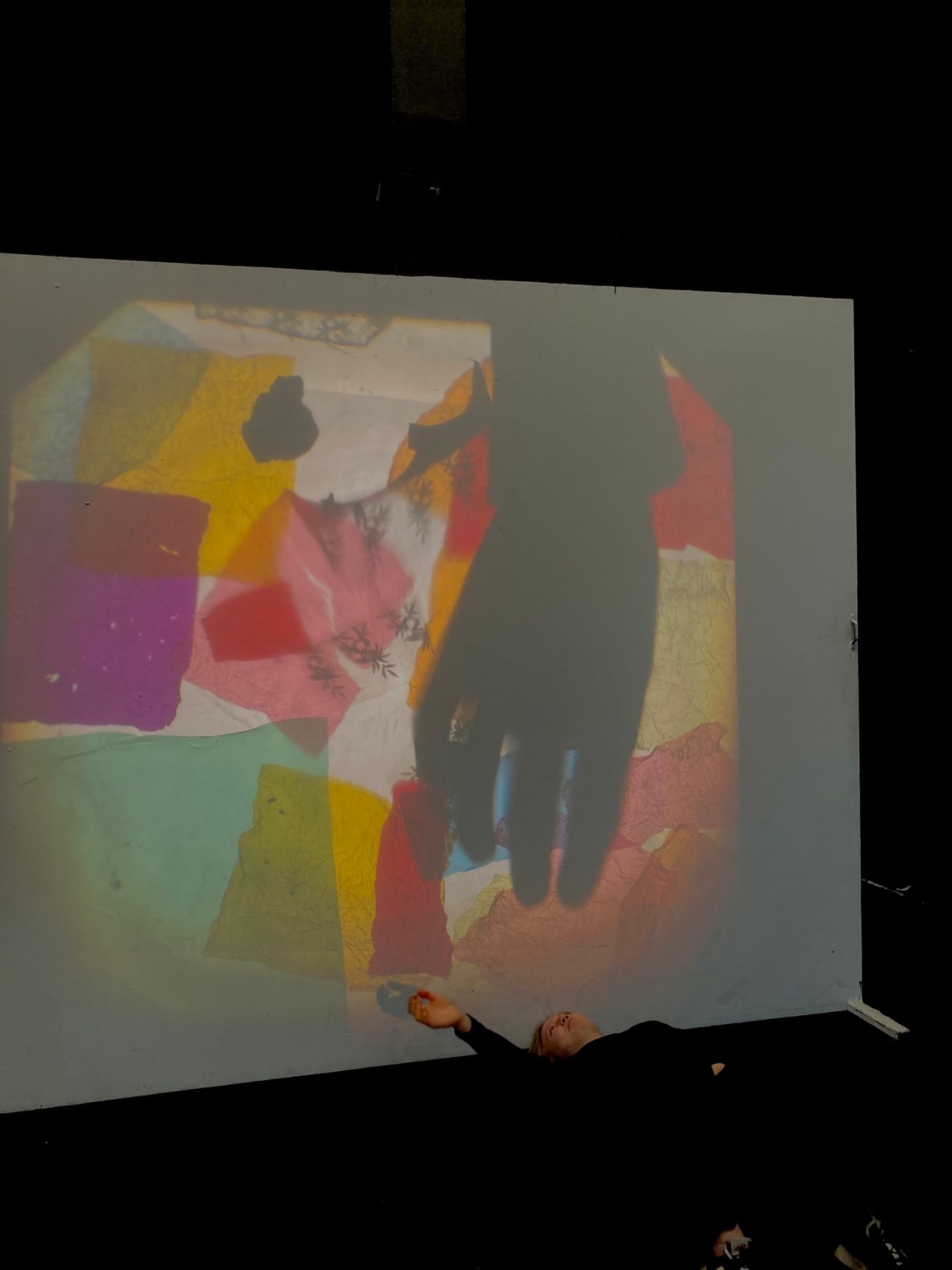 The Secret of the Golden Flower: Integrating with Your Shadow