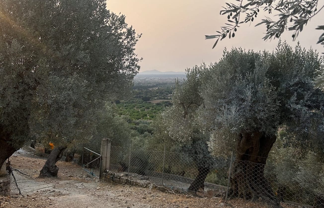 Epigraph | The Peacekeeper