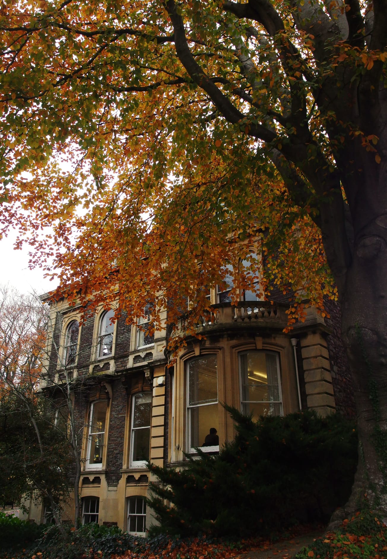 Disruption to University of Bristol websites resolved