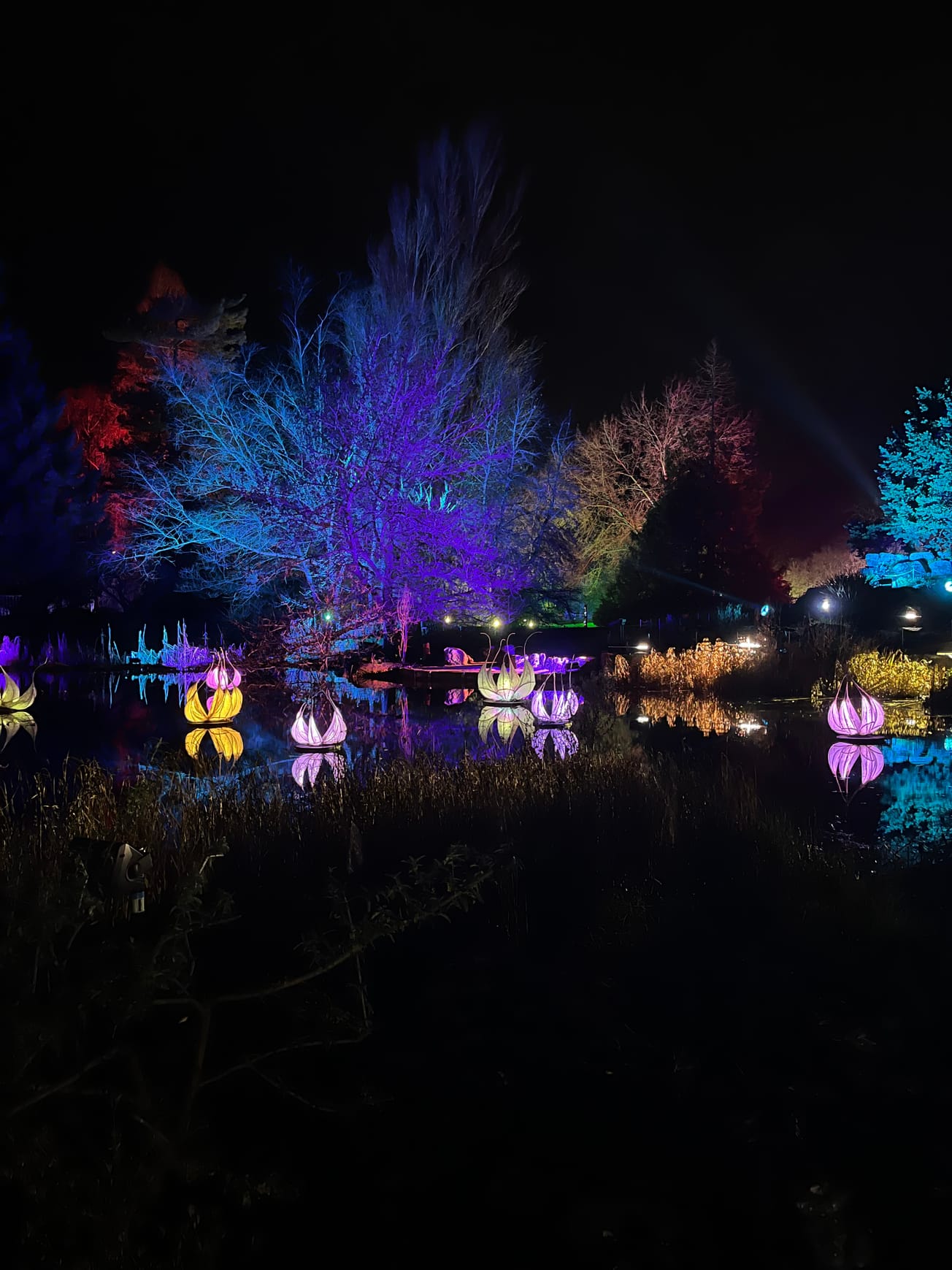 It's time for the annual debate: should we use the term Happy Holidays or stick with Merry Christmas?