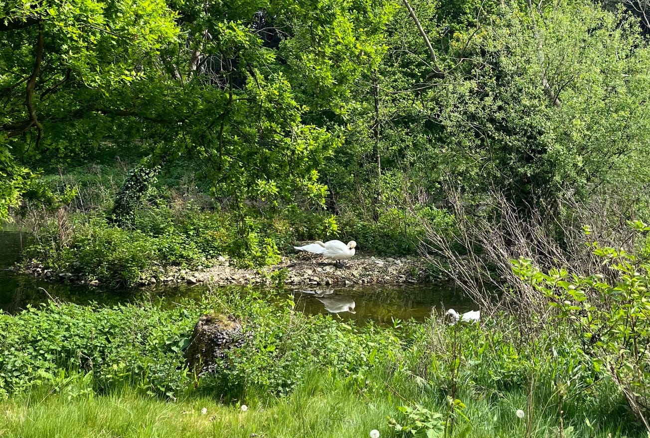 'I am pedalling in what feels like a frenzied rhythm': managing type 1 diabetes at university