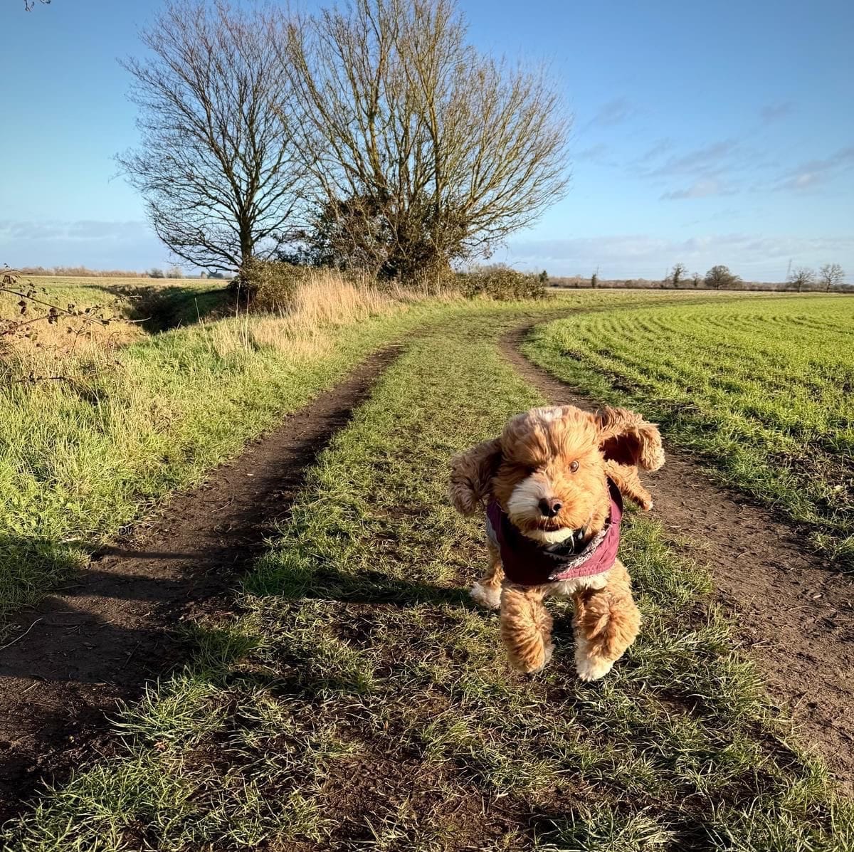 The Psychology behind New Year's Resolutions