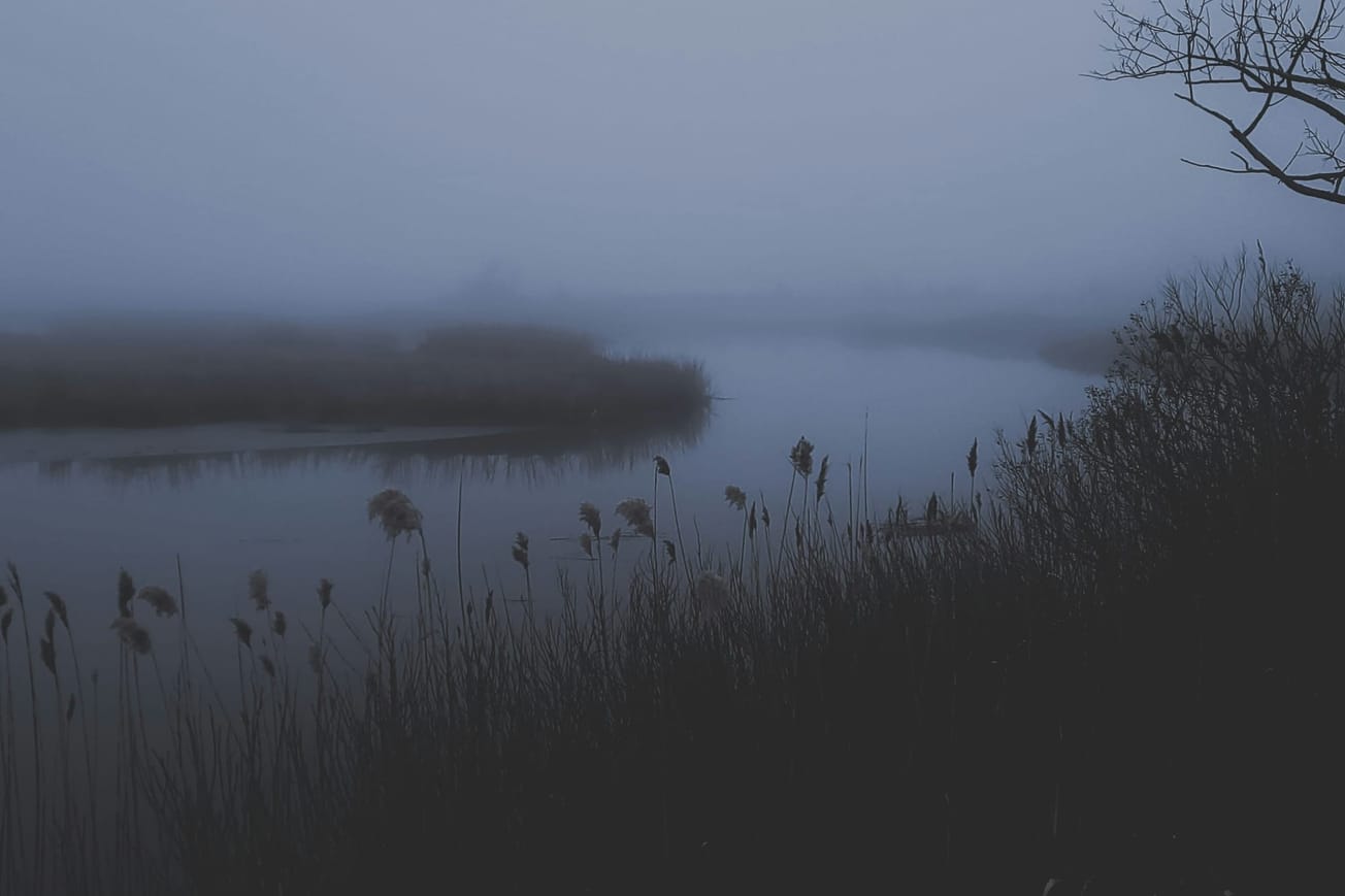 The Seasonal Depression Survival Club