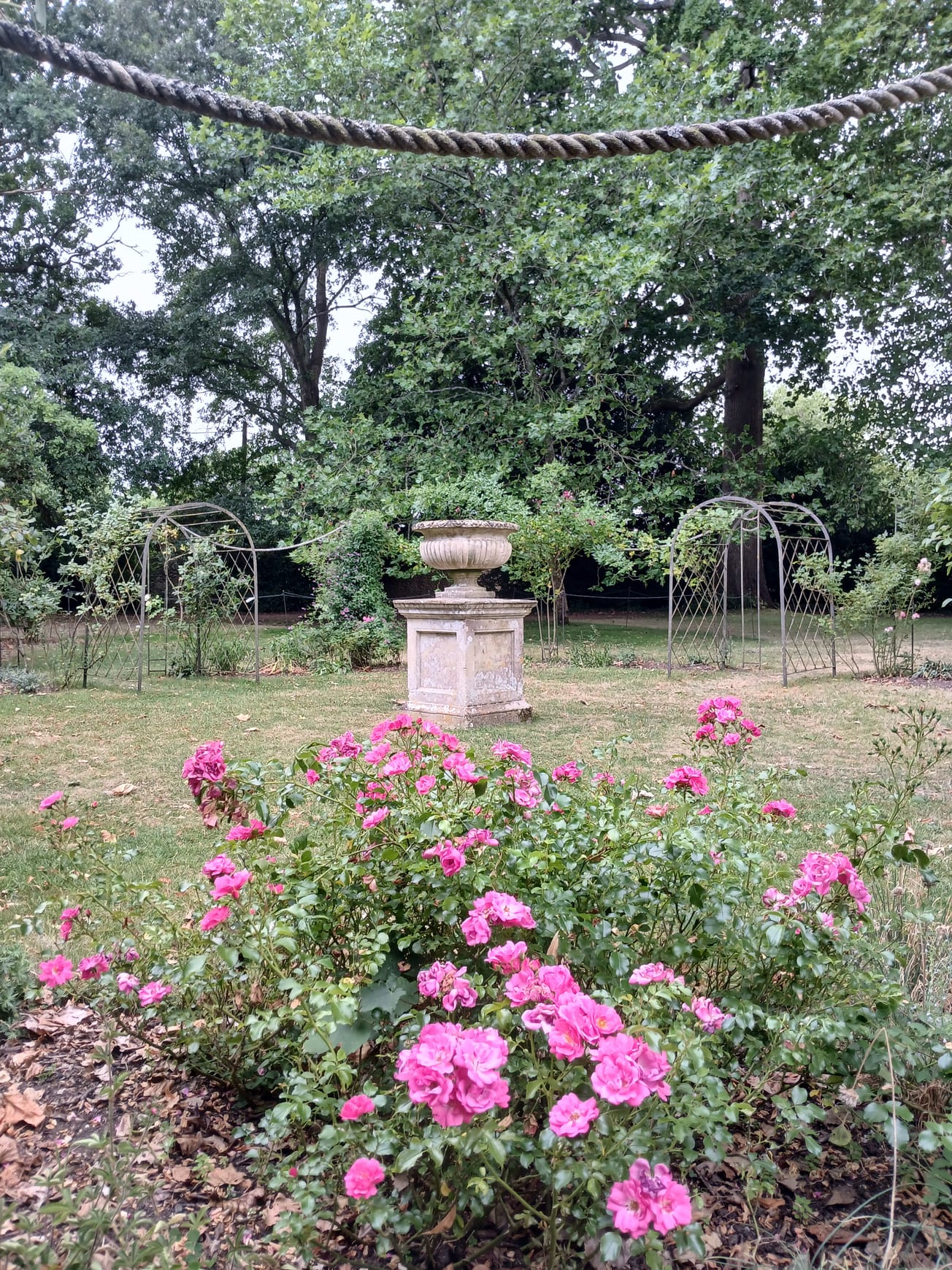 Love Through the Ages: a history of expressions of love