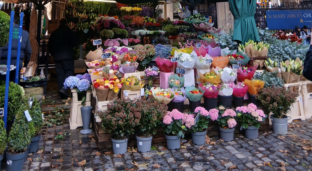 Can't buy me love: first date ideas for the frugal student