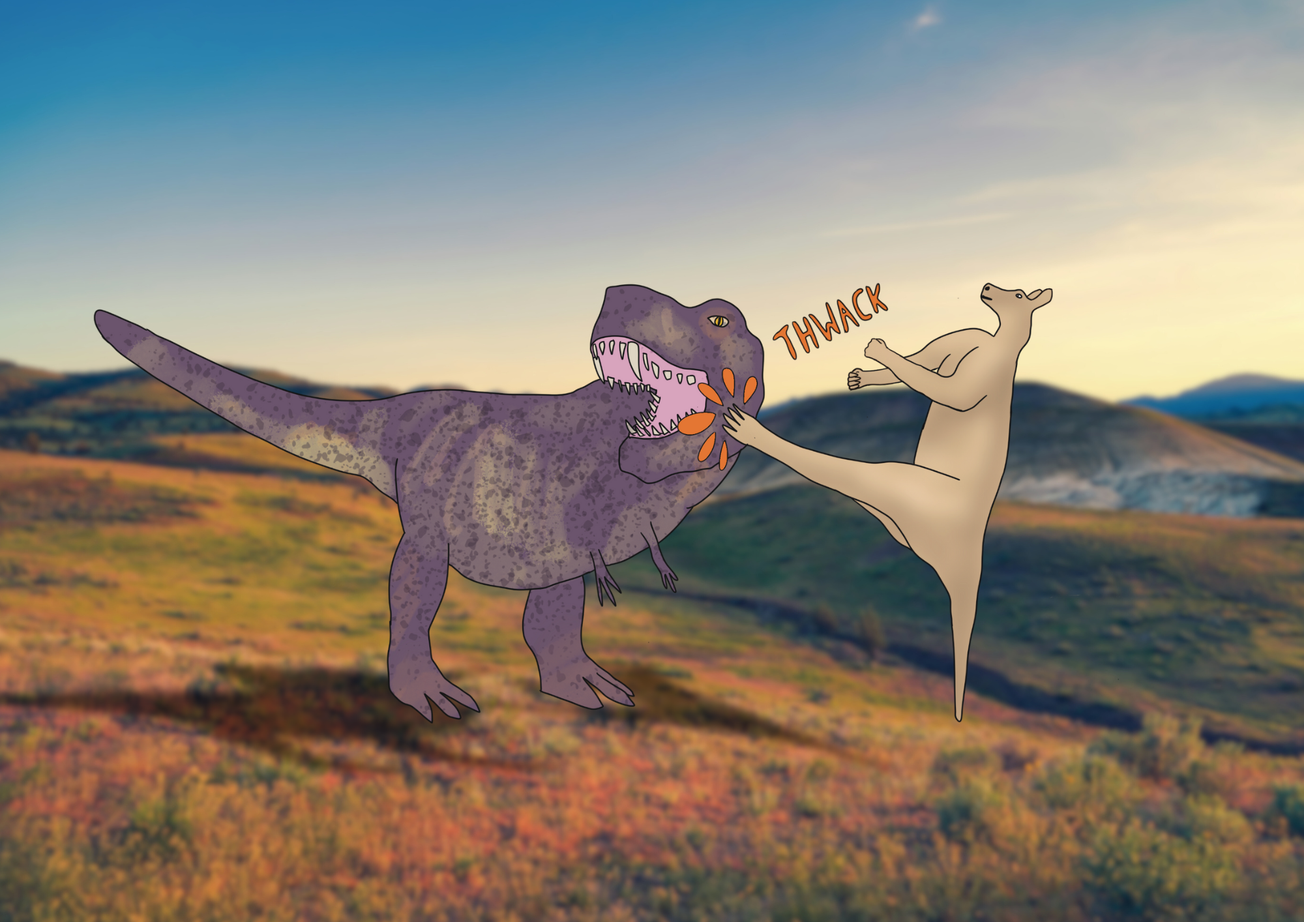 Big news for giant kangaroos