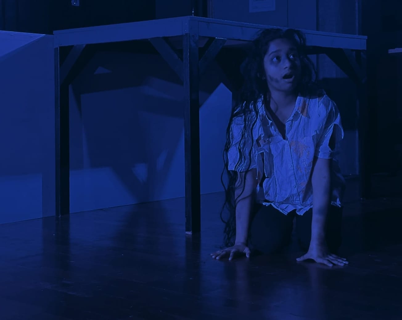 Review: BOpS's production of 'Fidelio'