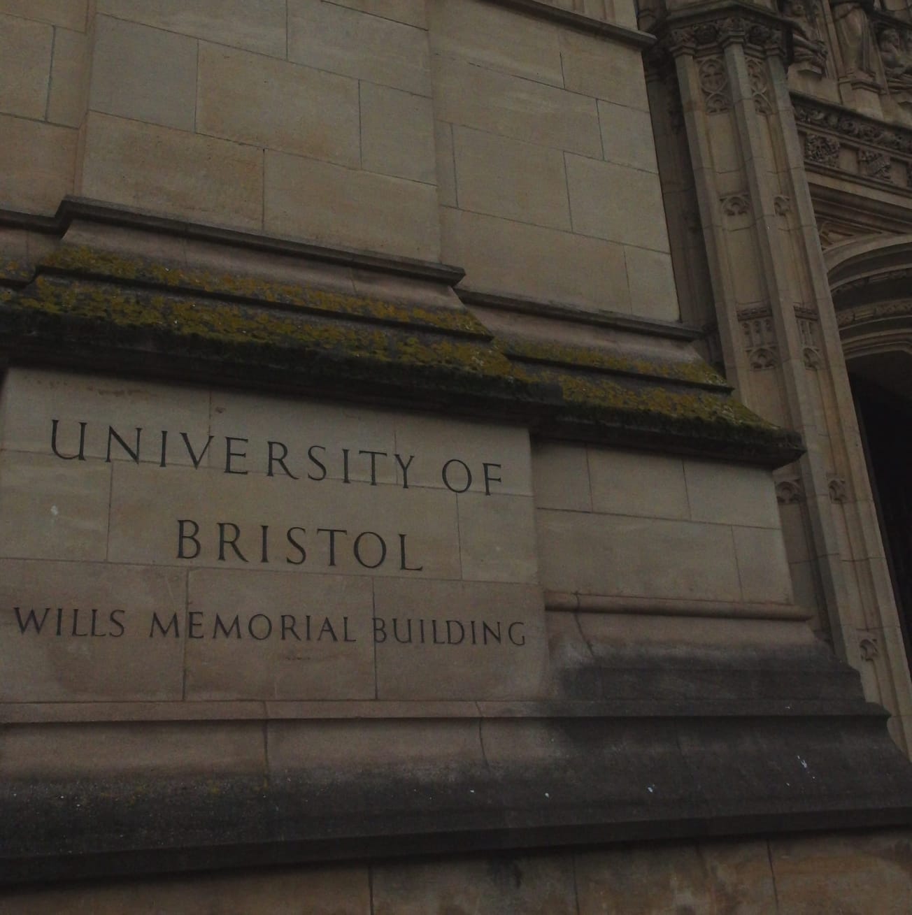 Graduating into the jobapocalypse?