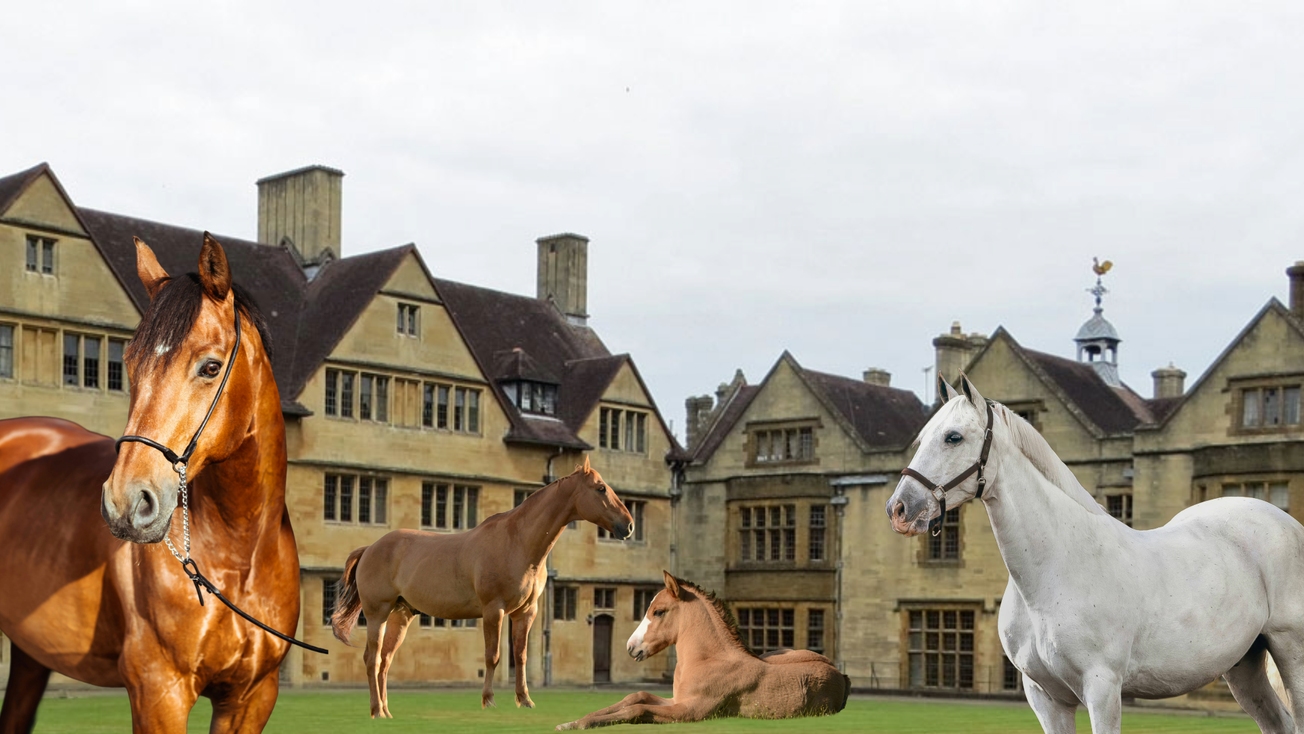 Stable in North Village; horses to be used in place of U1